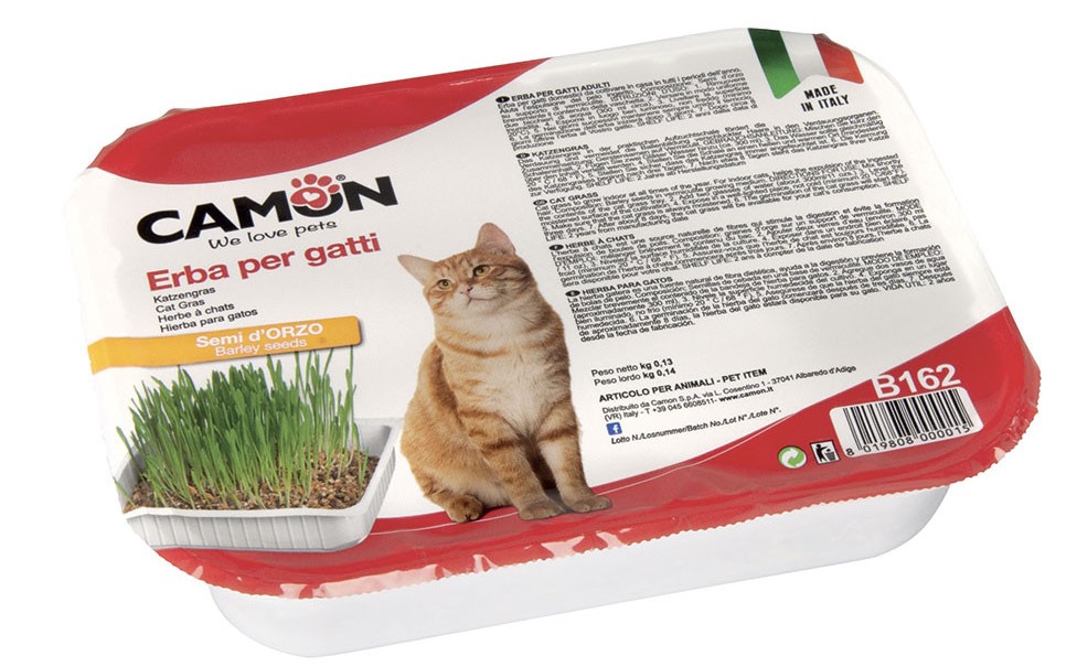 ערכת דשא לחתולים לגידול ביתי מבית קמון איטליה -