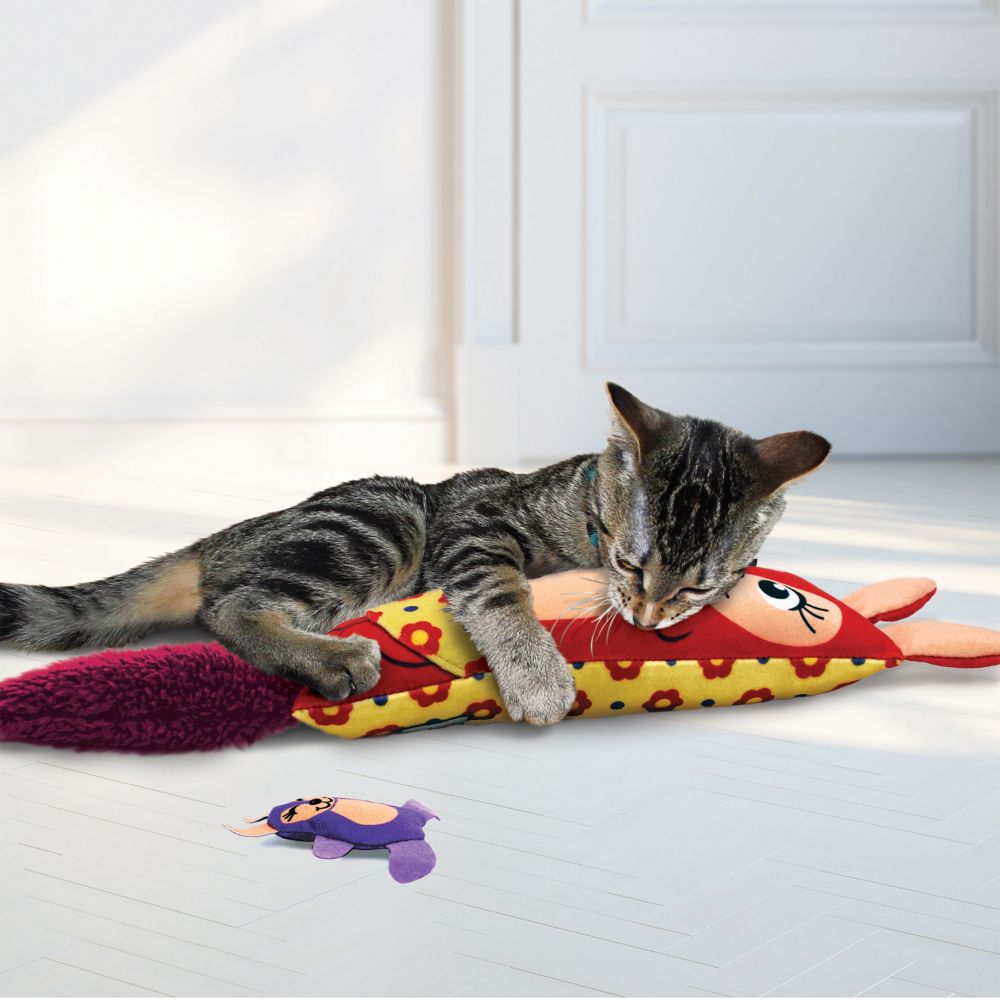 CR12 Kickeroo Kanga KIKRO מבצע צעצוע חתול חתולים פטשופסל פטשופטבע תל אביב