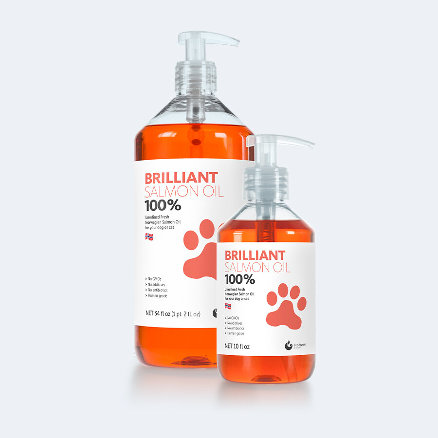 Salmon Oil — Brilliant שמן סלמון טרי טבעי לכלב חתול מבצע פטשופסל פטשופטבע