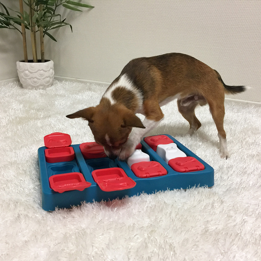 nina ottosson dog brick PETSHOPSALE PETSHOPTEVA צעצוע העשרה לכלב במבצע צעצועים כלבים