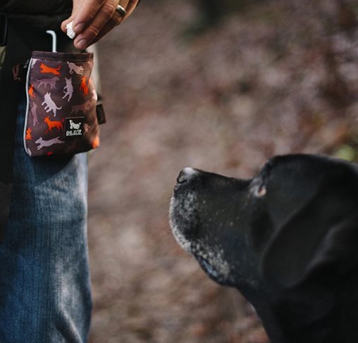 compact training pouch פאוץ חטיפים לאילוף כלבים
