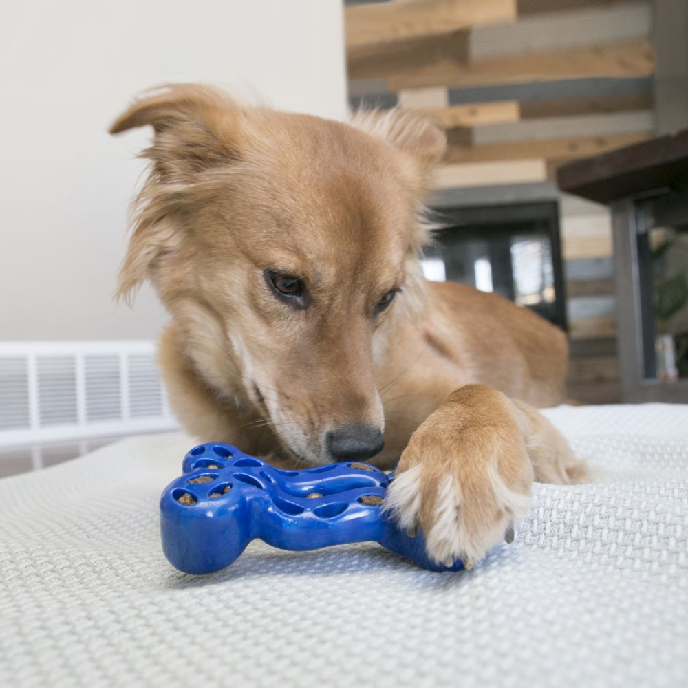 קונג דוראטריט צעצוע לעיסה והאכלה לכלבים KONG Spinner – Duratreat™ Bone צעצוע לעיסה והאכלה חזק וגמיש מבית קונג ארה"ב