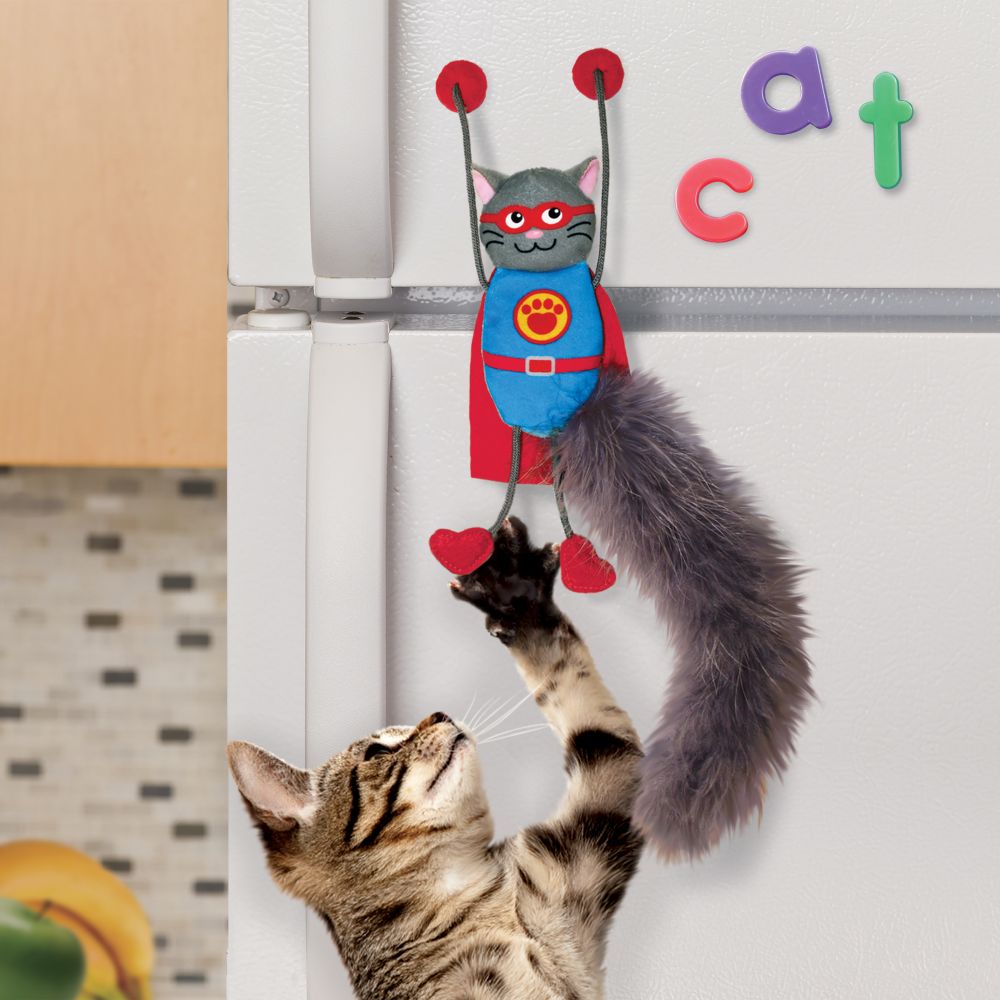 kong company Connects Magnicat מבצע פטשופטבע פטשופסל צעצוע חתול